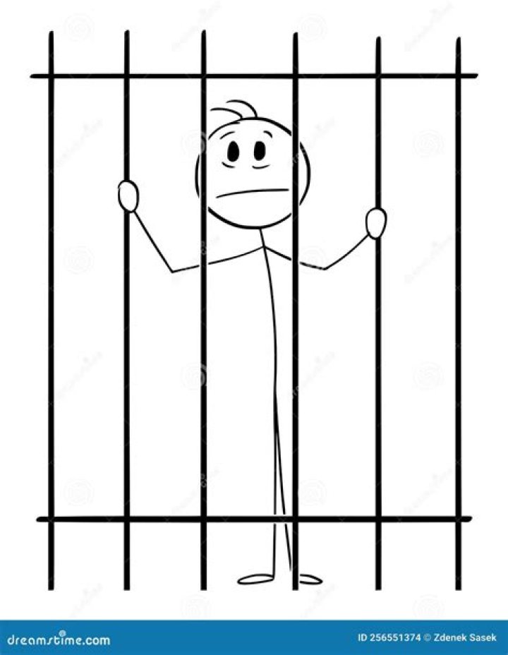 Molly Niblitt: The Controversial Figure Behind Bars