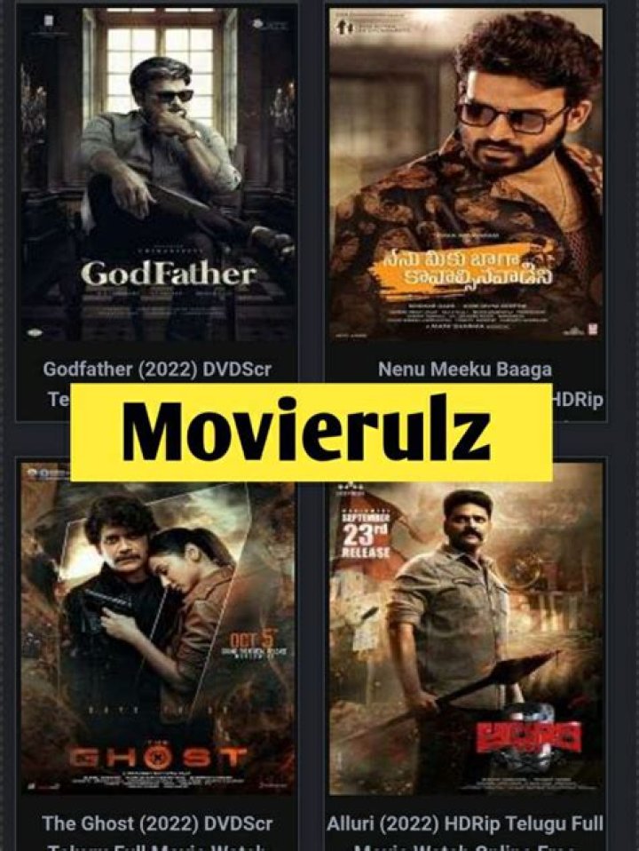Movierulz 2024/2025: Latest Kannada, Telugu, Tamil & More!