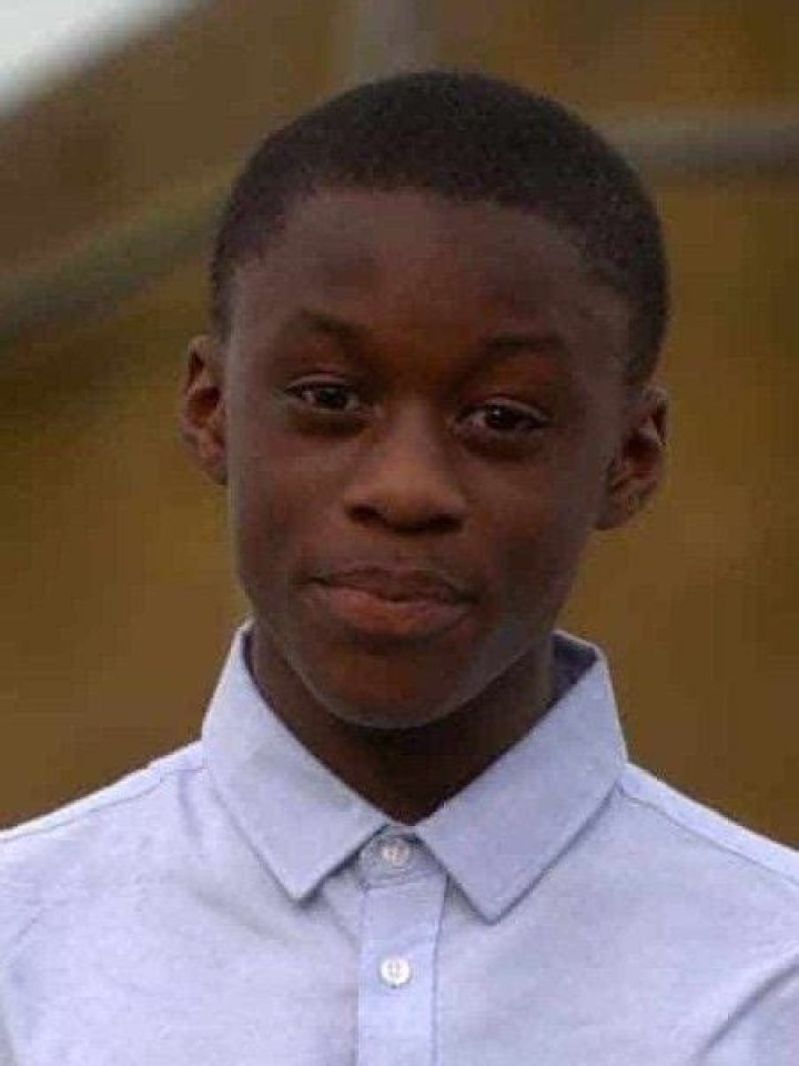 Nana Agyeman Bediako's Age And Wiki Explored