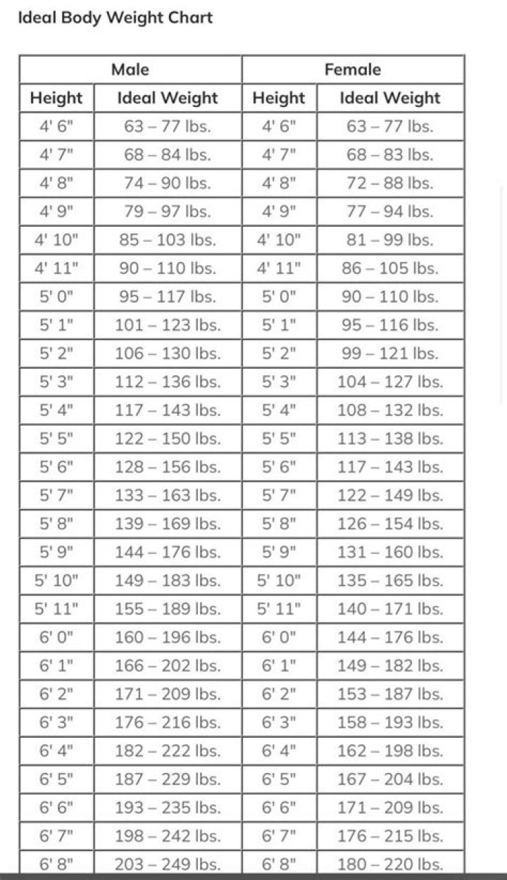 Natasha Lyonne's Height And Weight Explored