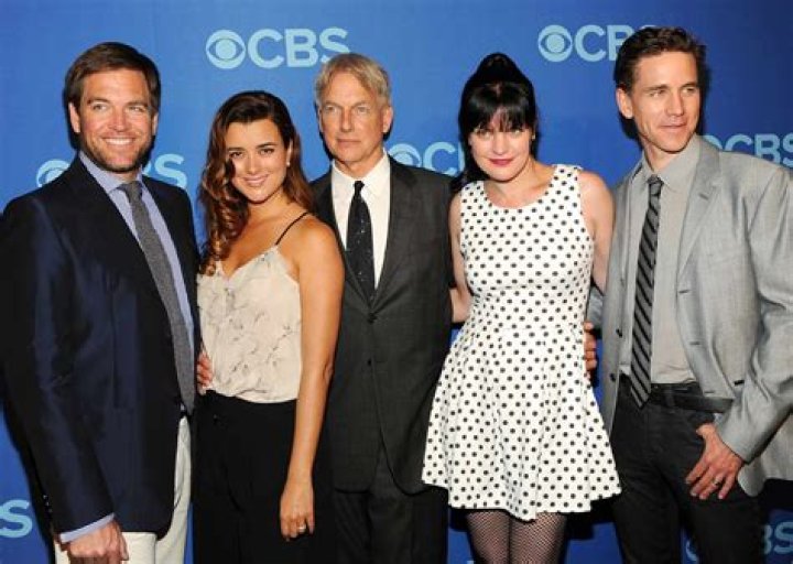NCIS Season 1 Cast: Where Are They Now?