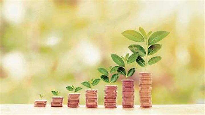 Nettowaarde: Understanding Wealth And Financial Success