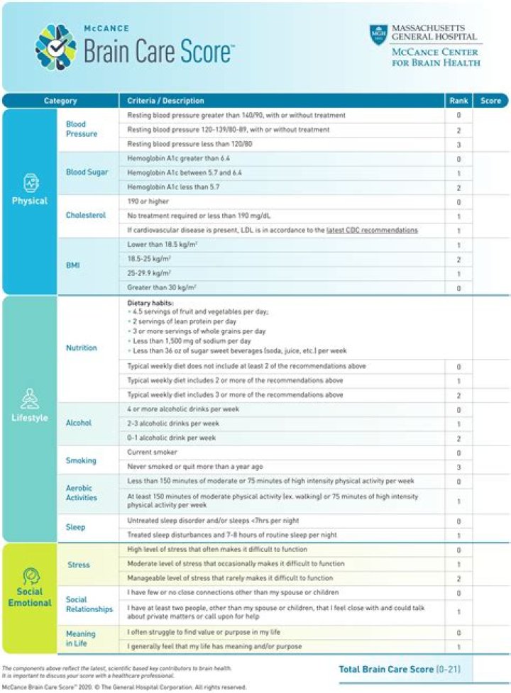 Panduan Lengkap "Peak Brain Score"