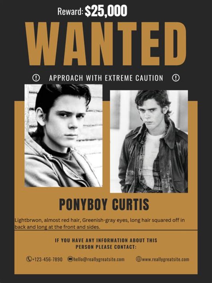 Ponyboy Curtis: The Outsiders Hero