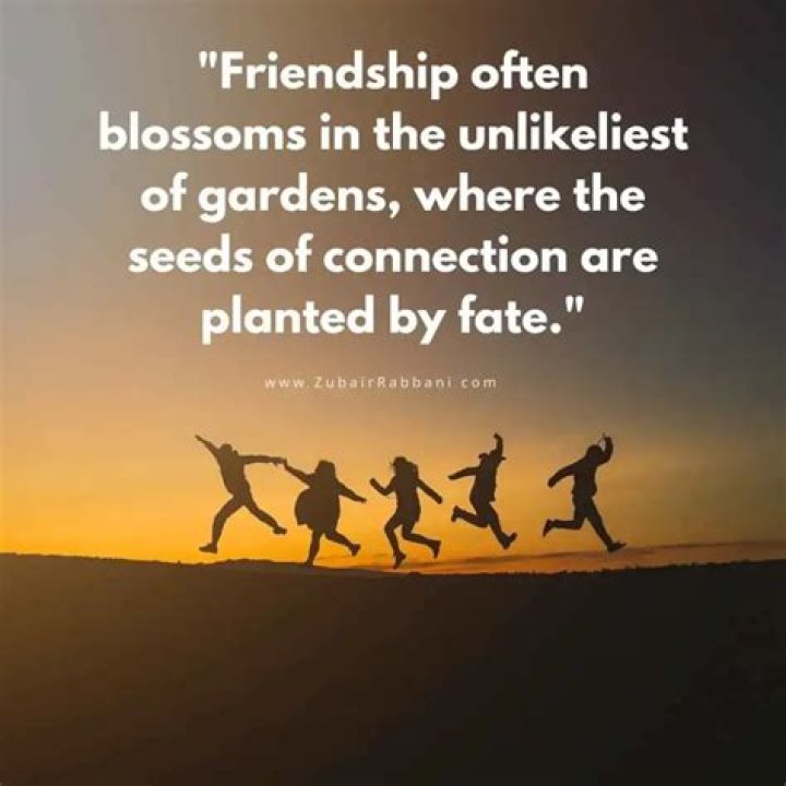 Quotes About Friendships In Flux