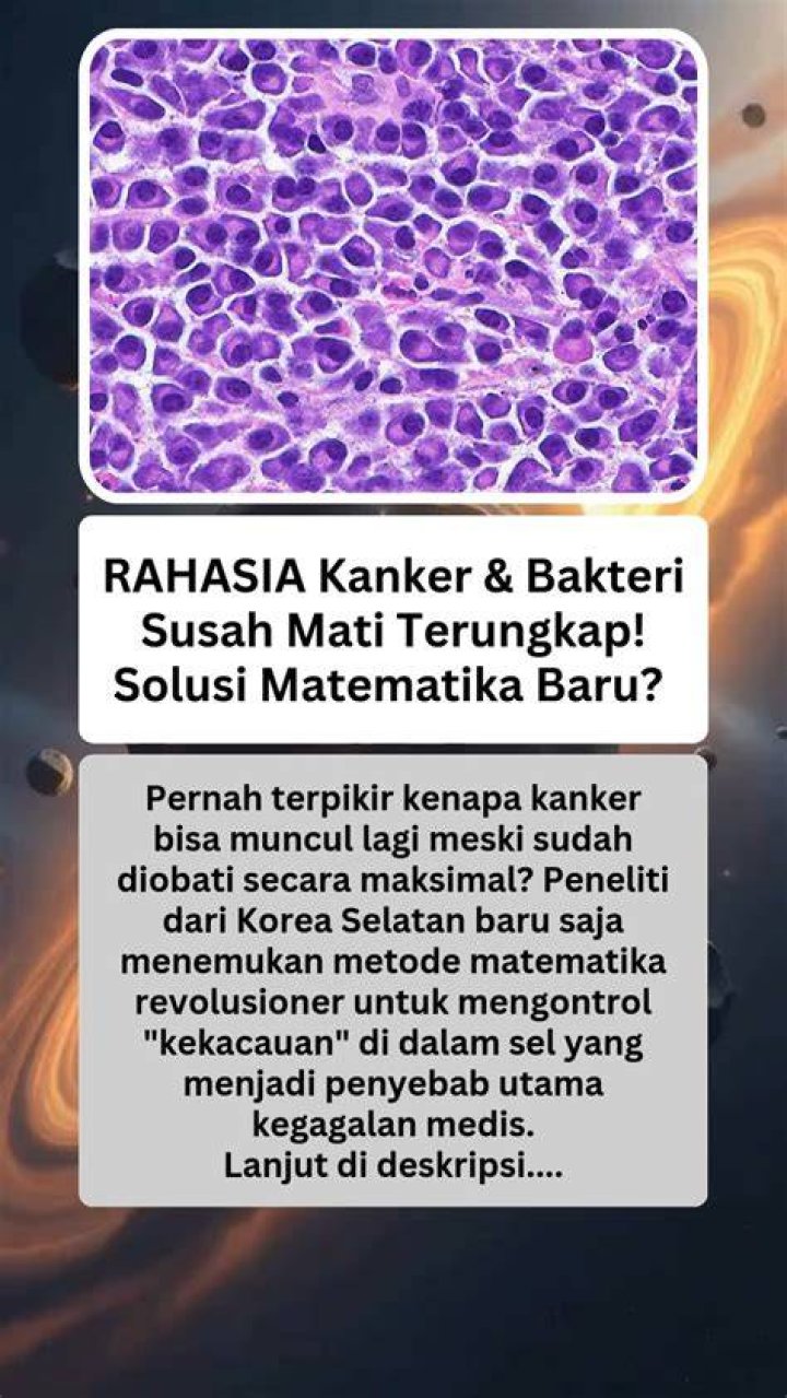 Rahasia Keluarga Biologis Sun Jung-jung Terungkap!