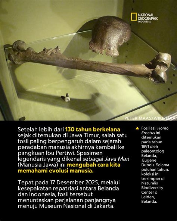 Rahasia Terungkap! Kenali Lauren Gravitt Lebih Dekat Melalui Wikipedia