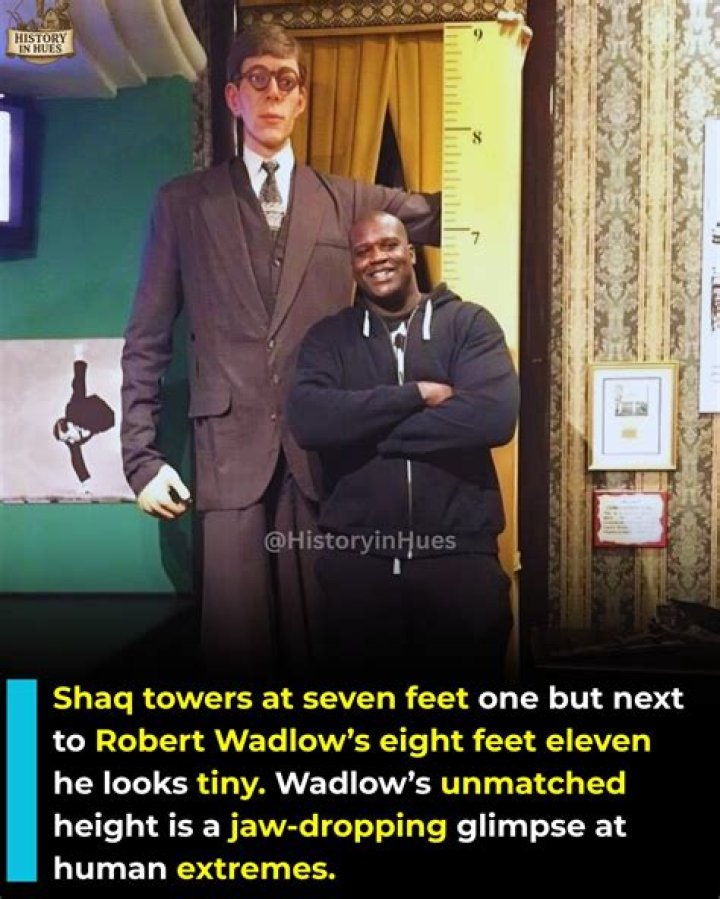 Robert Conrad's Towering Height: An Astonishing Measurement