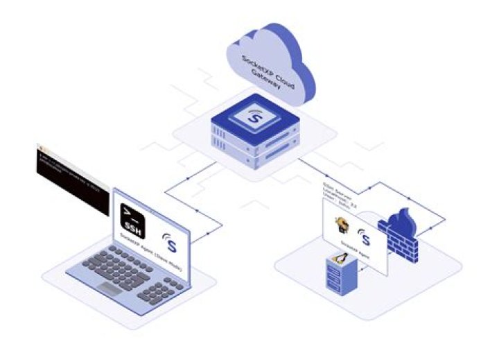 Secure IoT Access: Remote SSH Platforms - Your Guide