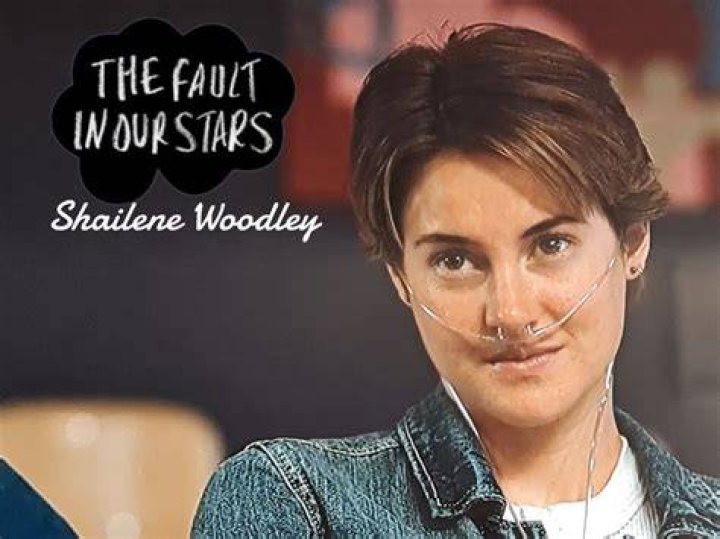 Shailene Woodley's Pregnancy Rumors Explored