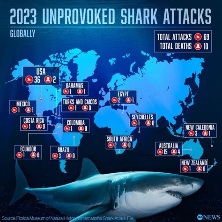 Shark Attacks In Manila And Essential Insights