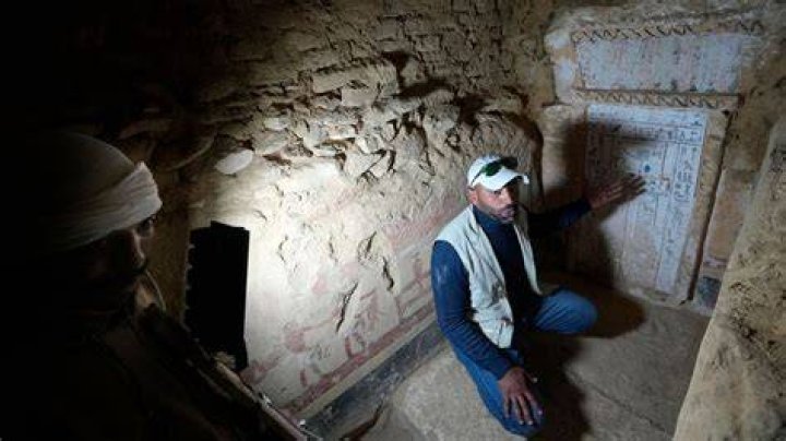 Shocking Discoveries And Essential Insights
