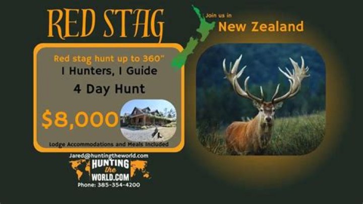 Stag Hunt Guide