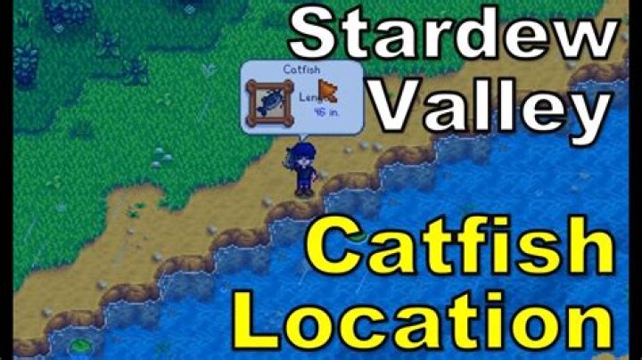 Stardew Valley Catfish Guide: Catch, Sell & Cook