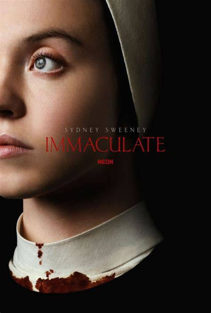 Surprising Facts: Bill Murray's Sister's Journey As A Nun