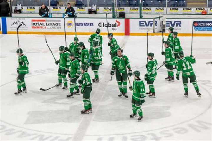 Surprising Stats And Impact On Hockey