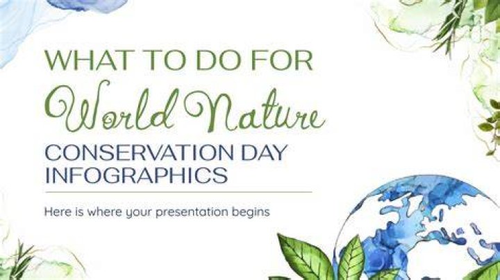Sustainability And Style Intertwined For InsightInformer20