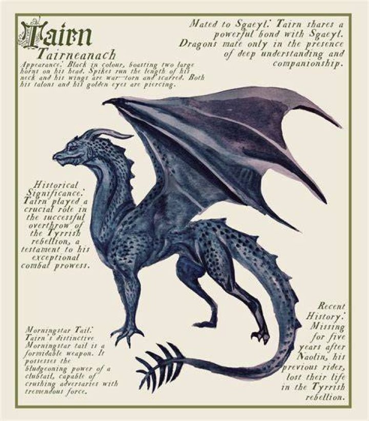 Tairn: Everything You Need to Know About Violet's Dragon | Fourth Wing