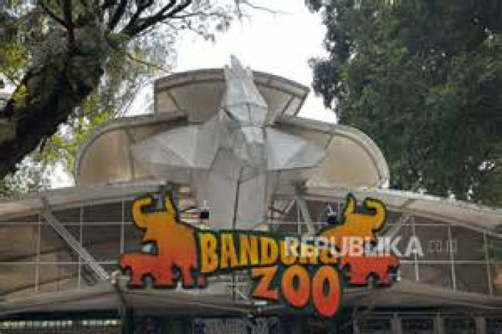 Temukan Fakta Menarik Seputar Orang Tua Suzie Wells