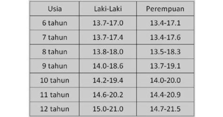 Temukan Rahasia Mengejutkan Tentang Usia, Tinggi Badan, Dan Usia Tyson Mullane!