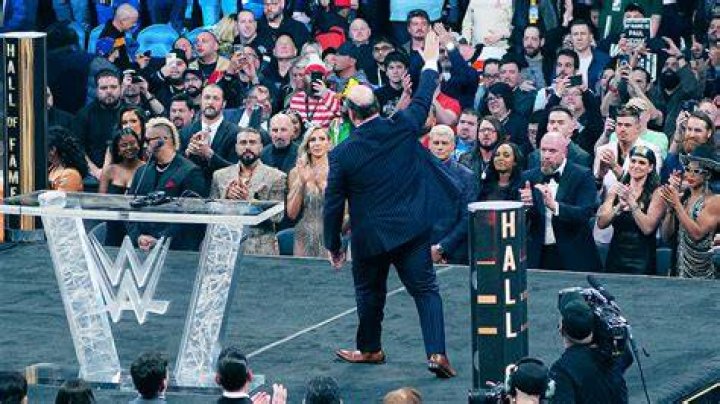 The Enigmatic Partner Of Paul Heyman