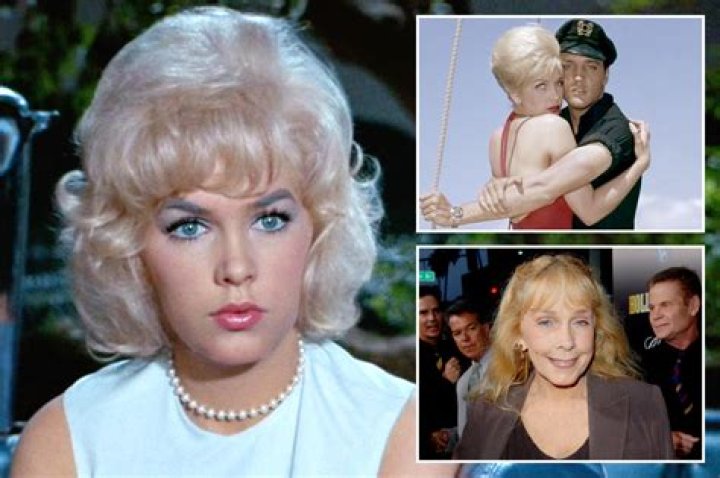 The Partners Of Stella Stevens