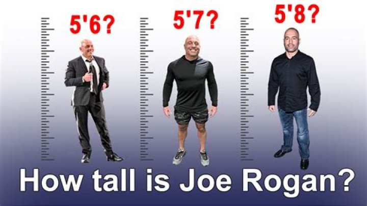 The Real Truth About Joe Rogan's Height Unveiled: A Definitive Guide