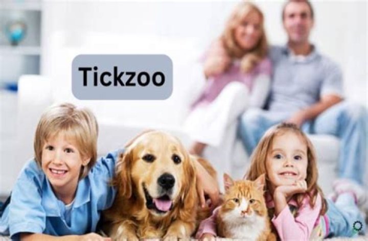 The Rise and Fall of Tickzoo: A Controversial Platform