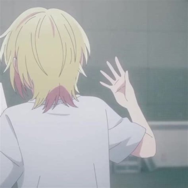 The Rise of Rei Kamiki: Anime Star