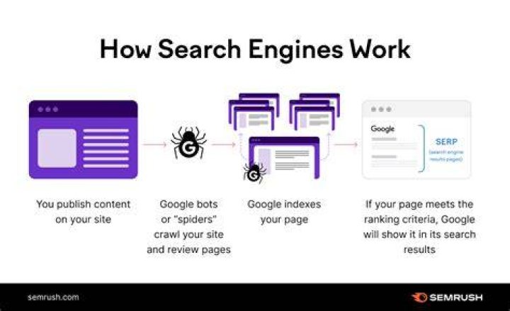 The Ultimate Guide To Checking Your Google Search Engine Ranking