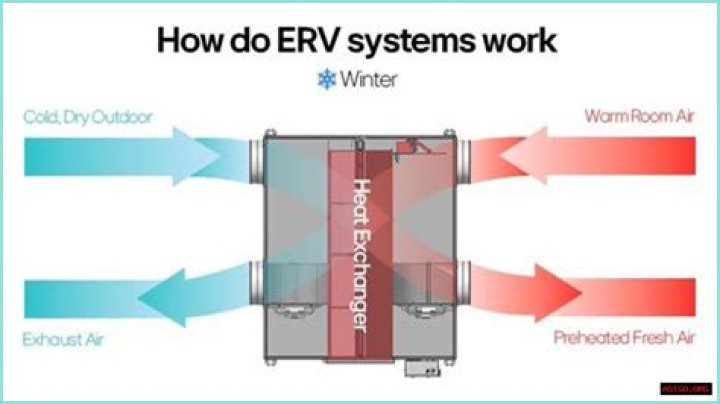 The Ultimate Guide To ERV Hurd For Environmental Resilience