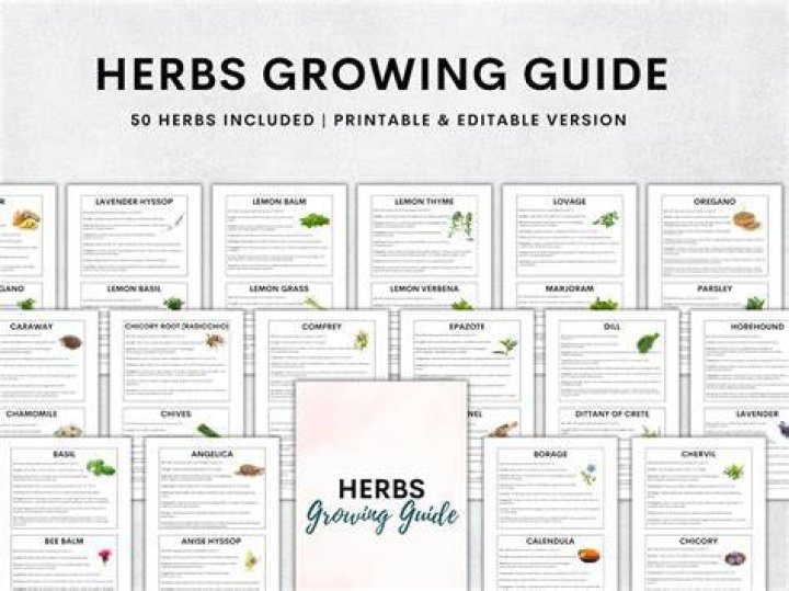 The Ultimate Guide To Growing And Caring For Nan Harris