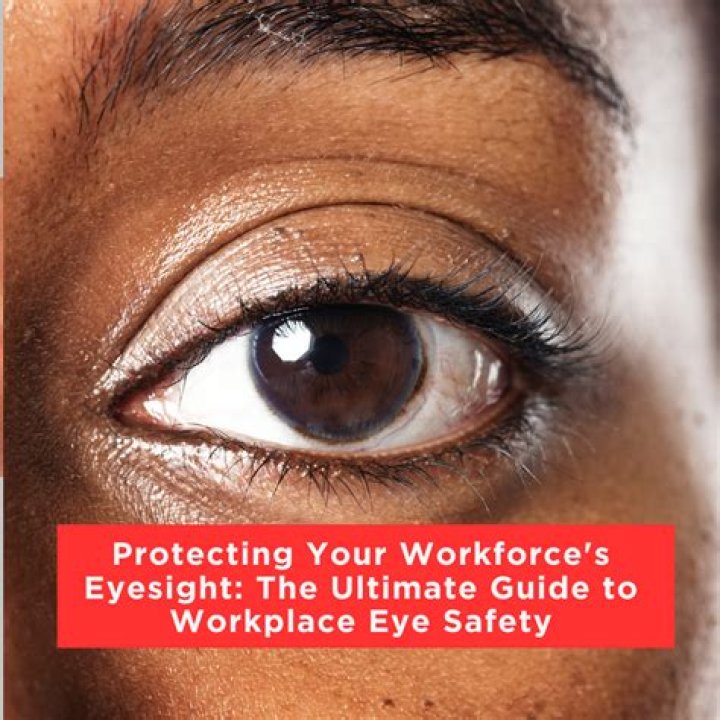 The Ultimate Guide To Preventing Late For Work Ravens