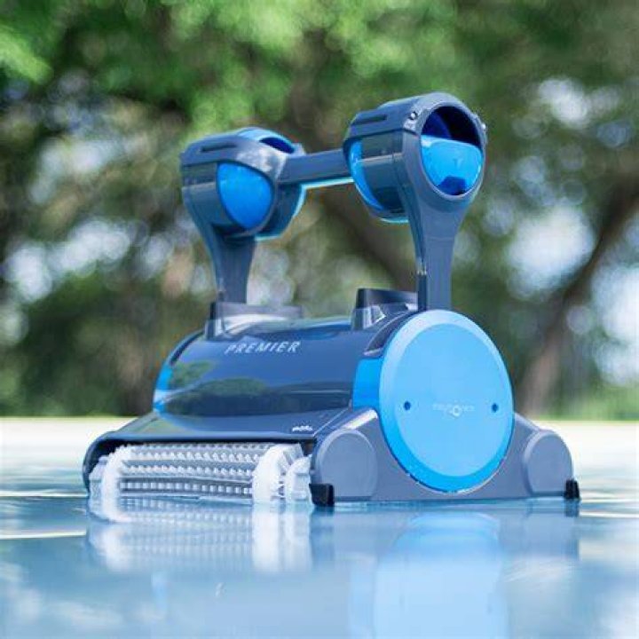 The Ultimate Guide To Selecting The Perfect Dolphin Pool Cleaner