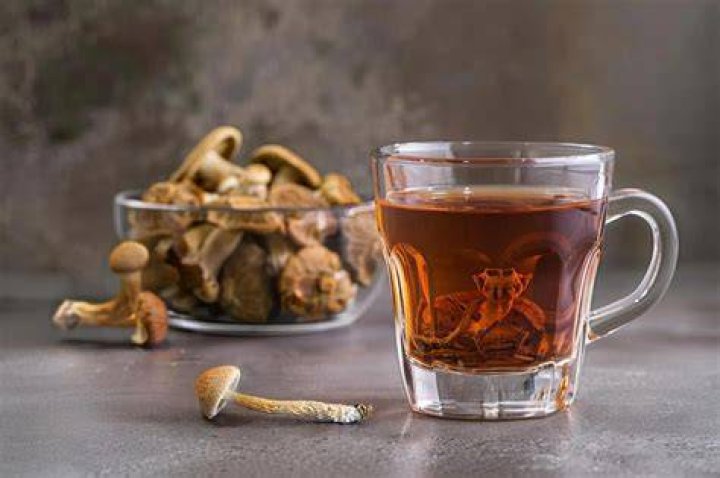The Ultimate Guide To Shroom Tea's Shelf Life