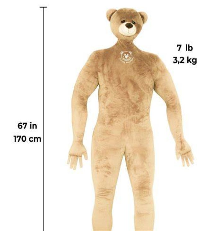 The Ultimate Guide To Teddy Bears That Swim