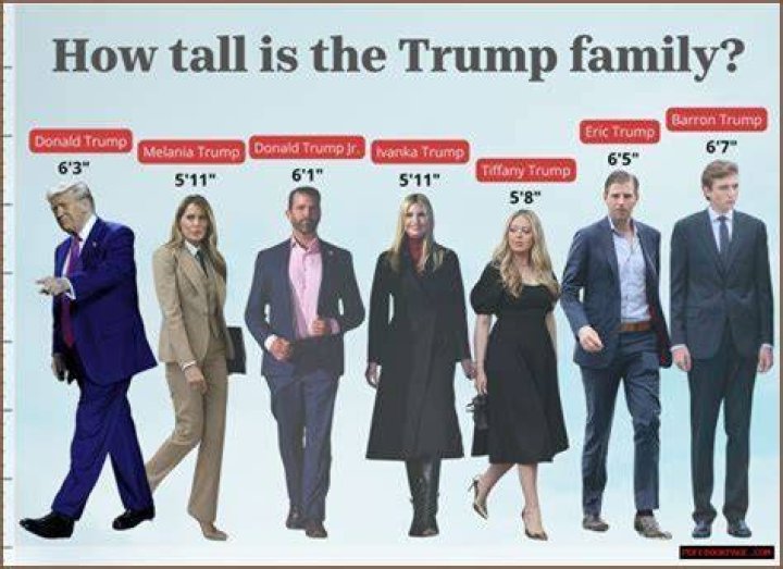 The Unveiled Truth: Barron Trump's Remarkable Height