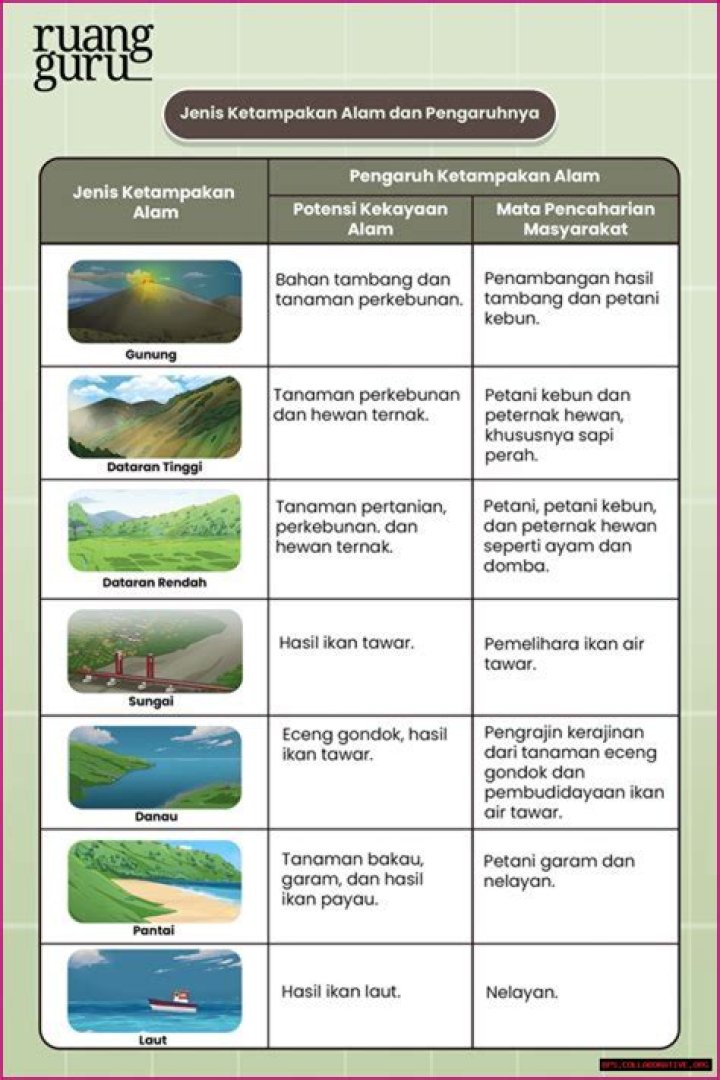 Tinggi, Berat, Dan Kekayaan Yang Mencengangkan