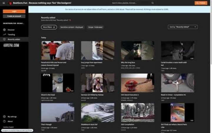 Top 12 BestGore Alternatives: Shocking Videos