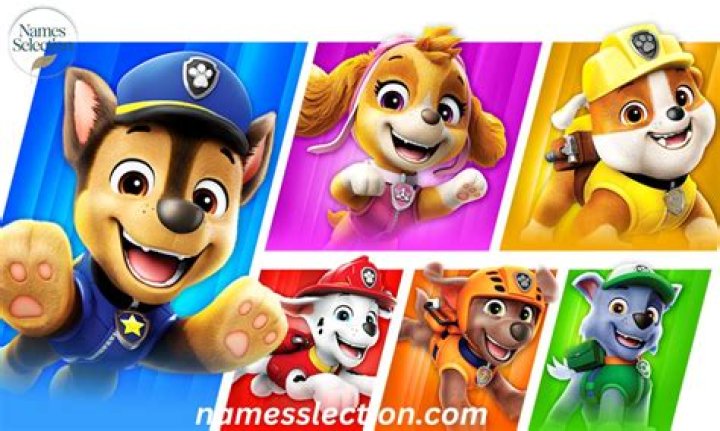 Top Paw Patrol Names: Characters, Pups & More