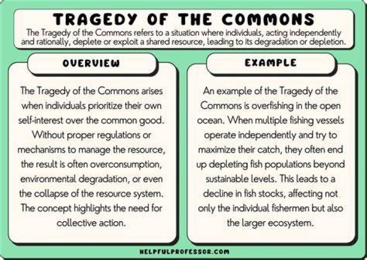 Tragedy of the Commons Guide