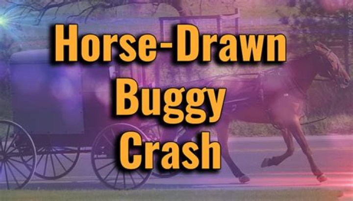 Tragic Horse And Buggy Accident Yesterday: A Community Mourns