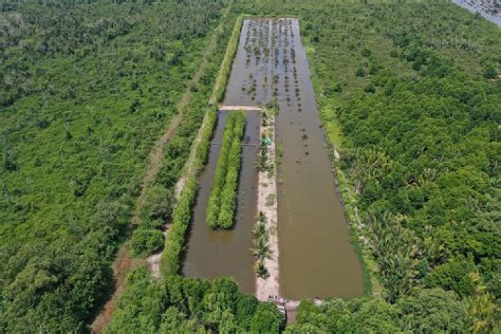 Uncover The Environmental Legacy Of Yolanda Walmsley: Insights And Discoveries