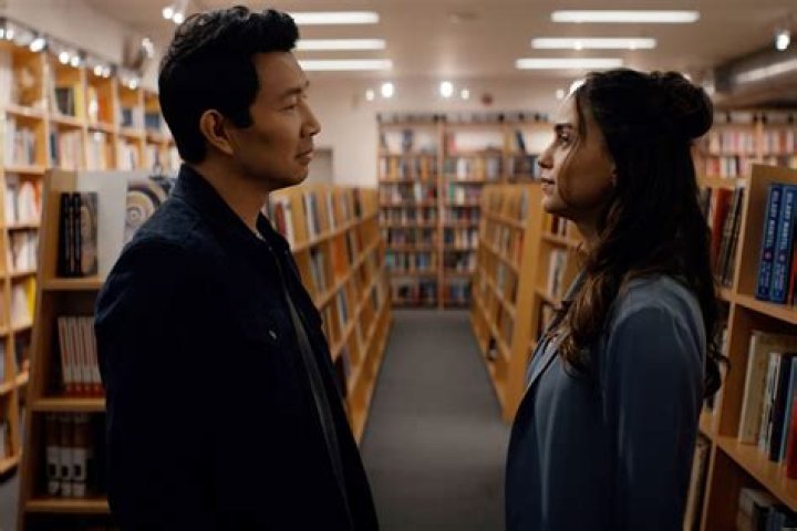 Uncover The Secrets: Liu Wen's Boyfriend Revealed