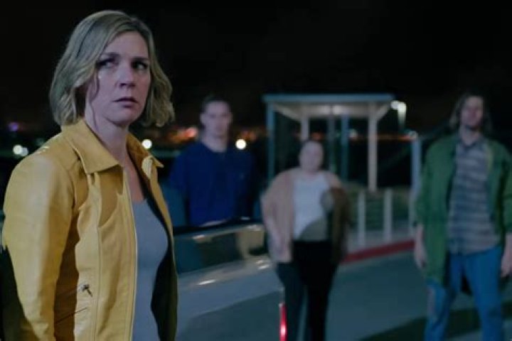 Uncover The World Of Rhea Seehorn's Husband, Graham Larson