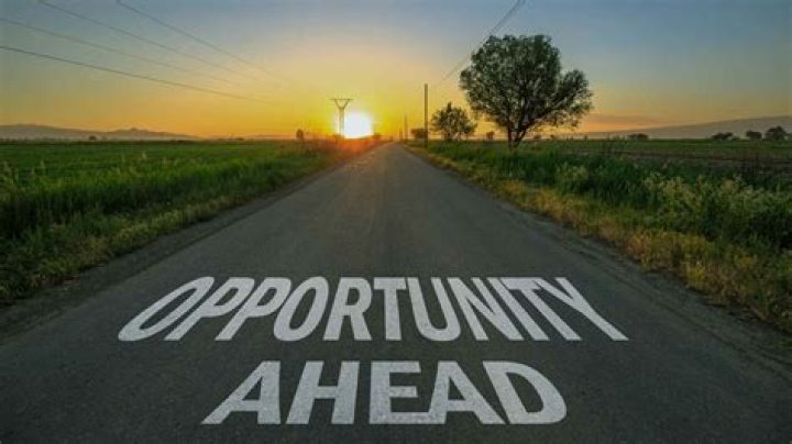 Uncovering Impact And Unveiling Opportunities