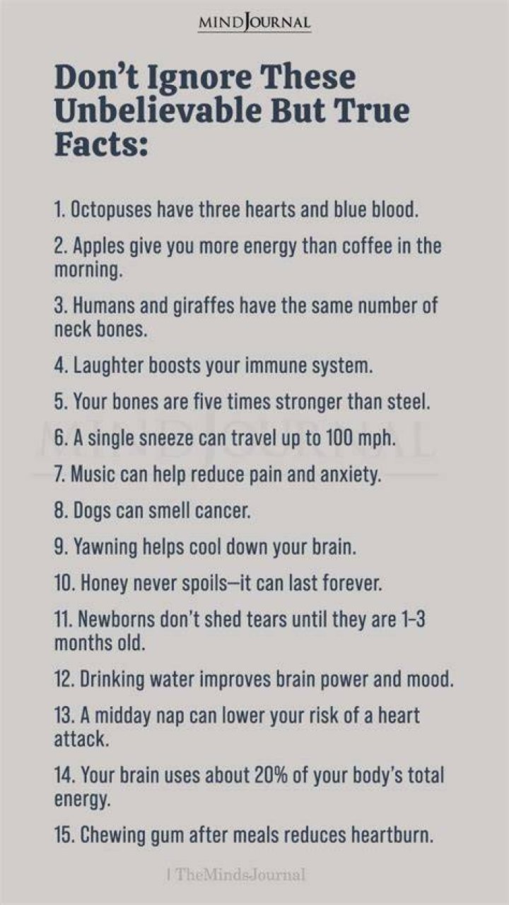 Uncovering Surprising Facts And Hidden Truths