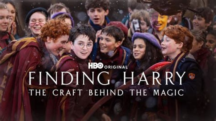 Uncovering The Fortune Behind "Harry"