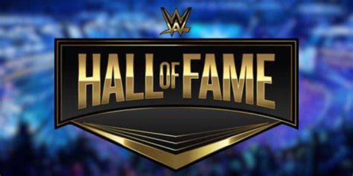 Uncovering The Legacy: Is Shannon Sharpe's Brother In The Hall Of Fame?