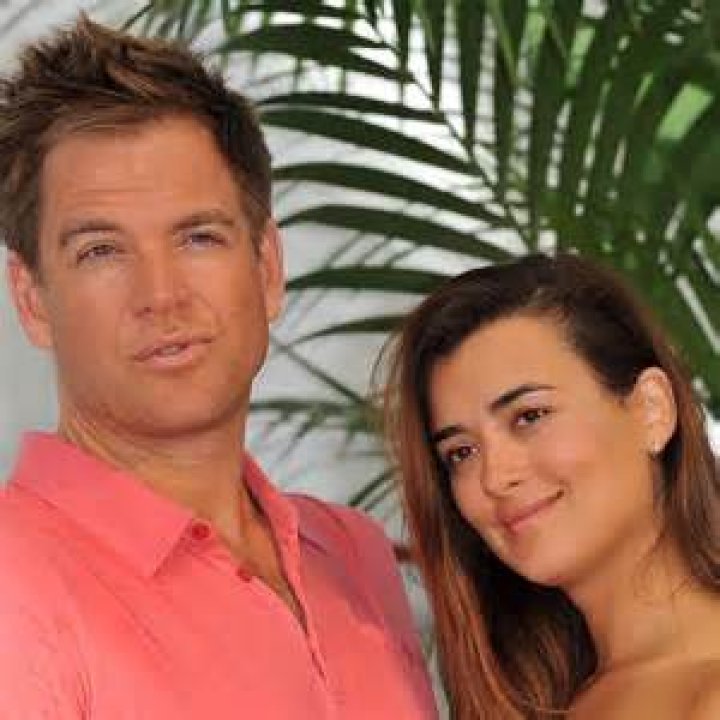 Uncovering The Number Of Cote De Pablo's Children